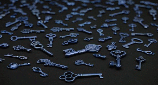 همه چیز درباره پاگ با 17 نکته برای دوستداران این نژاد