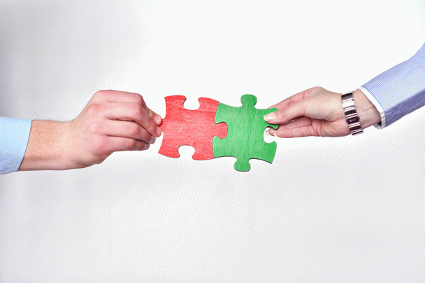 هر آنچه باید درباره عقیم سازی خرگوش بدانید